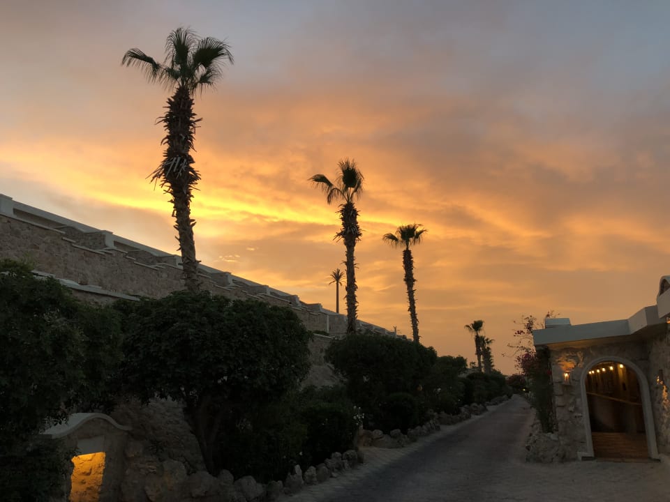 Außenansicht Pickalbatros Citadel Resort