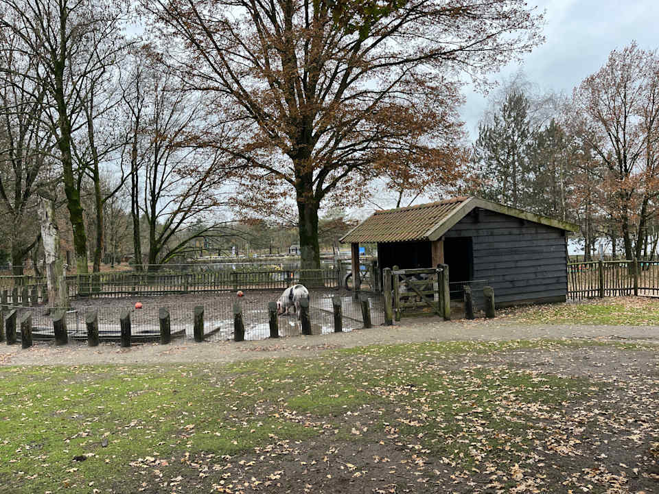 Sport & Freizeit Center Parcs De Kempervennen