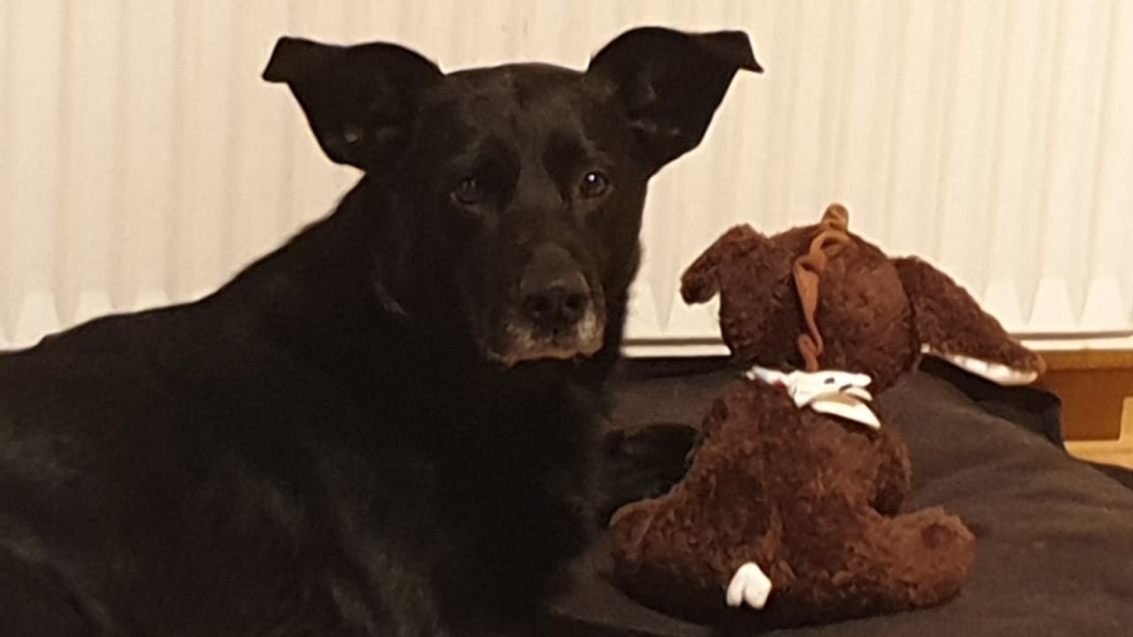 Sonstiges Gästehaus Sulsdorf