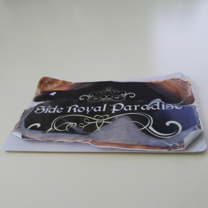 Zimmer Side Royal Paradise Hotel