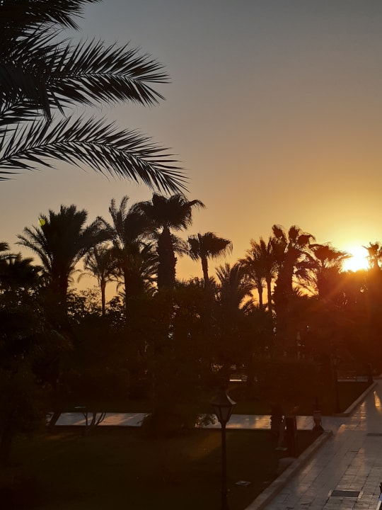 Ausblick The Grand Hotel Hurghada