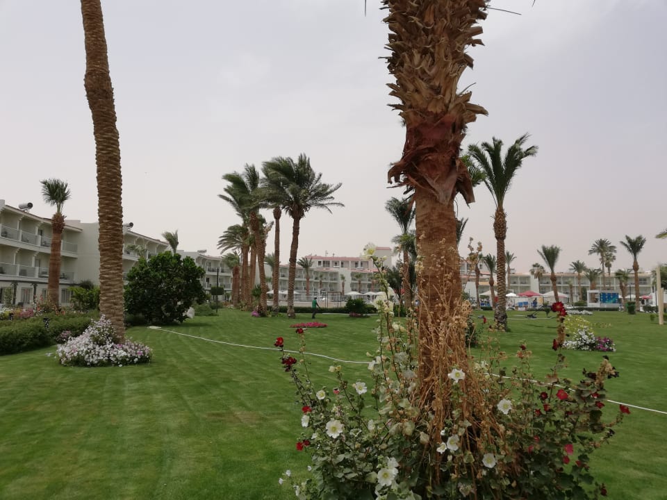 Gartenanlage Amarina Abu Soma Resort & Aquapark