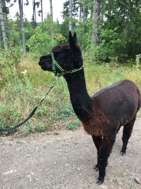 Sport & Freizeit Ferienhof Hubertushof Eifel