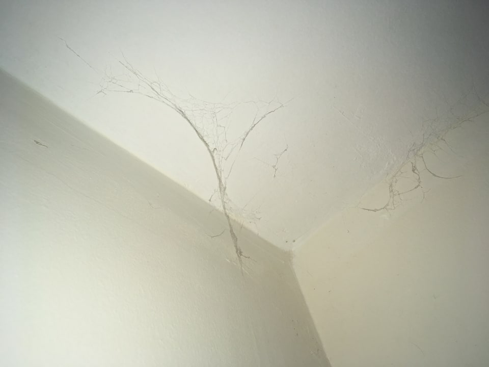 Zimmer Hotel Pine Bay Holiday Resort