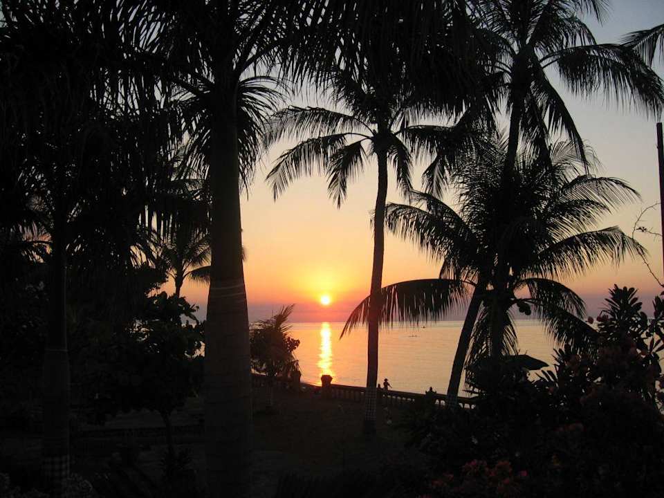 Lovina Beach Aditya Beach Resort Lovina