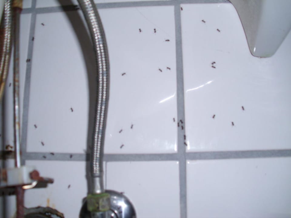 Unter dem Waschbecken Camping- und Ferienpark Markgrafenheide