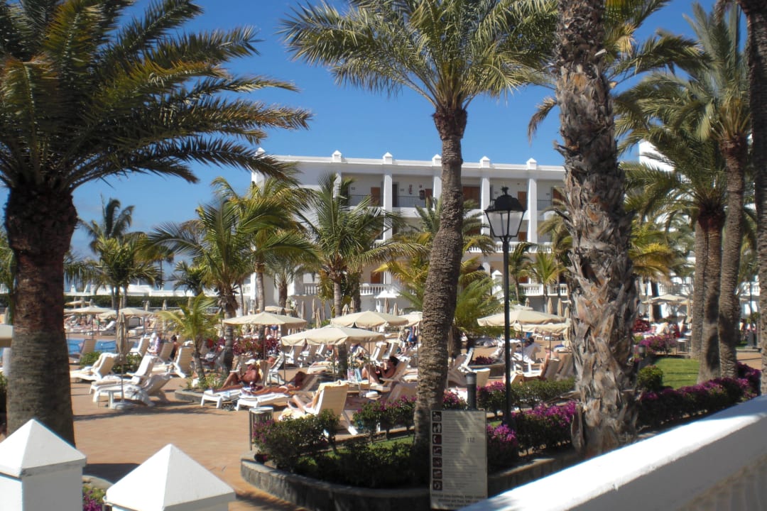 Schöne Poolanlage mit viel Palmen Hotel Riu Palace Maspalomas Adults Only