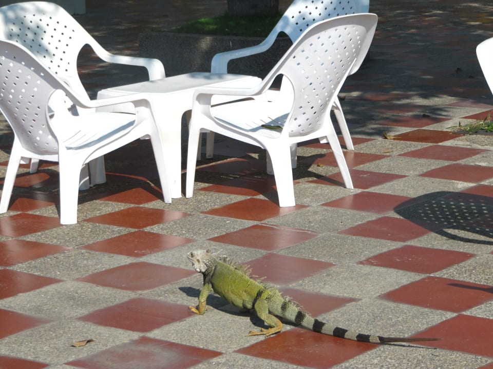 Tamaca main building Hotel Tamacá Torre Norte