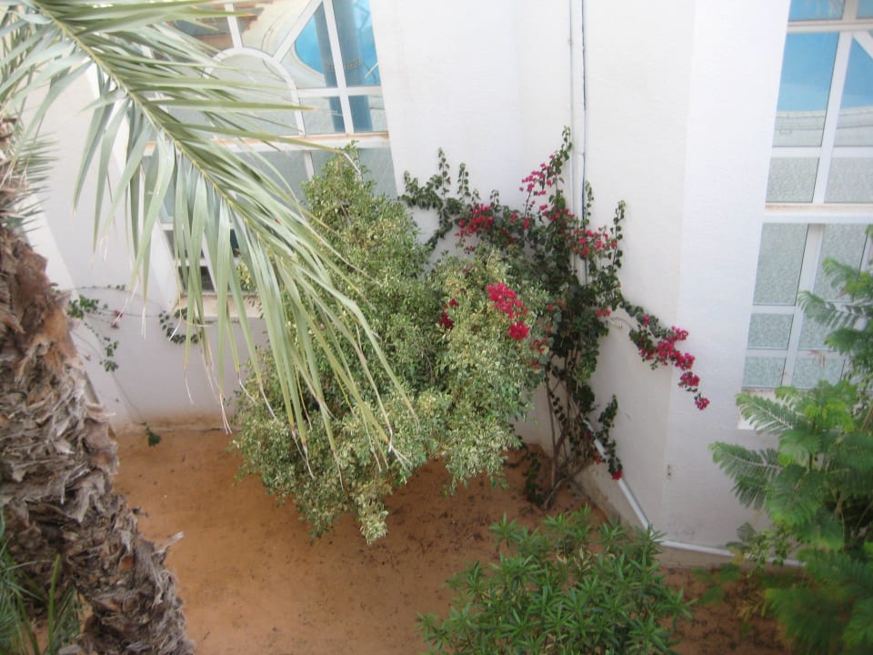 Ausblick aus dem ZImmer auf das Hallenbad Hotel El Mouradi Djerba Menzel