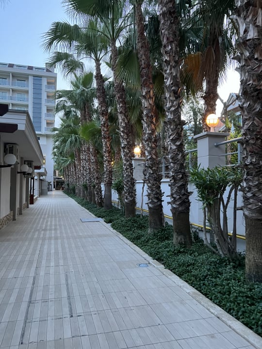 Gartenanlage Dizalya Palm Garden