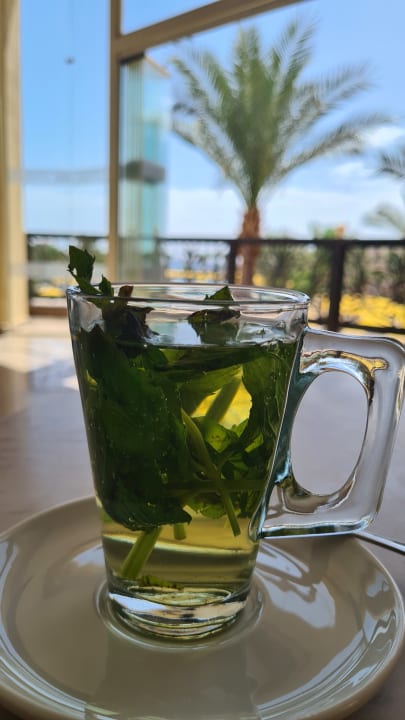 Gastro Pickalbatros Palace Resort