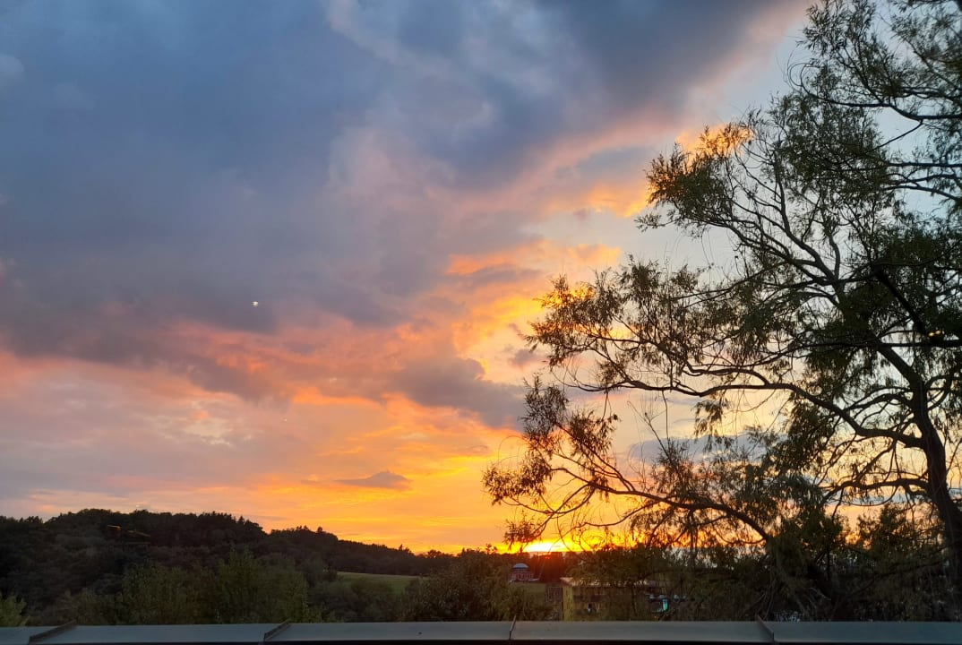 Ausblick Falkensteiner Balance Resort Stegersbach