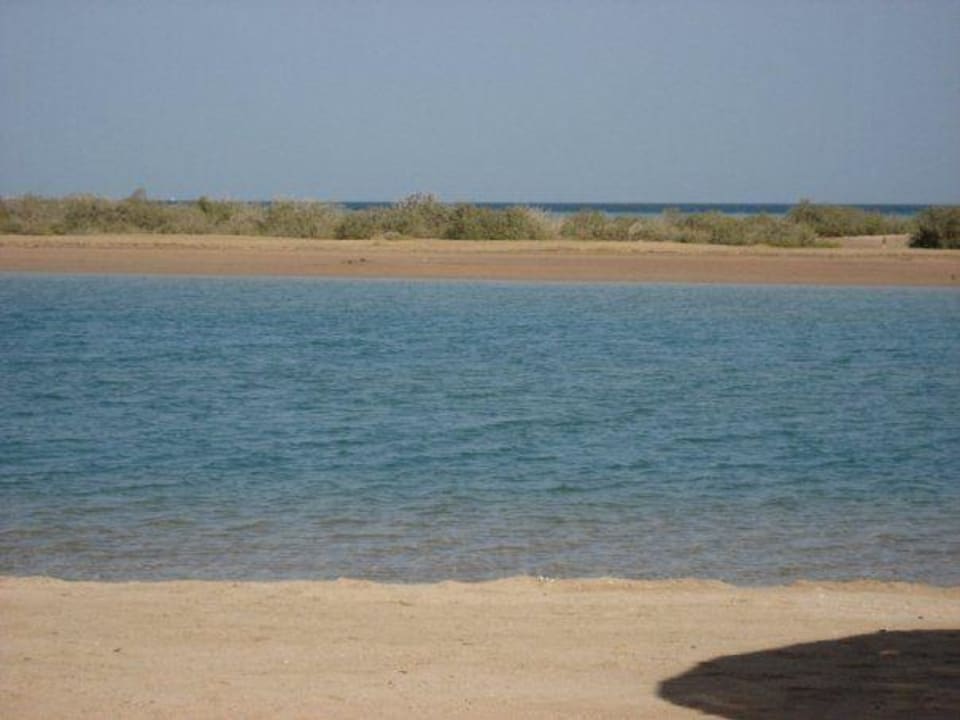 Sheraton Miramar  Sheraton Miramar Resort El Gouna