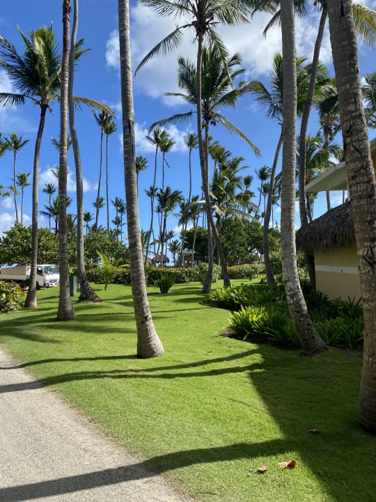 Gartenanlage Grand Palladium Select Bávaro Resort & Spa