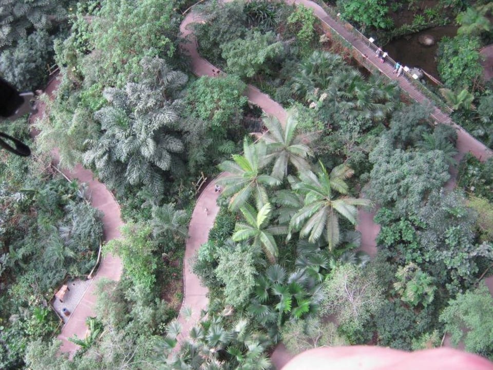 Regenwald Tropical Islands Resort