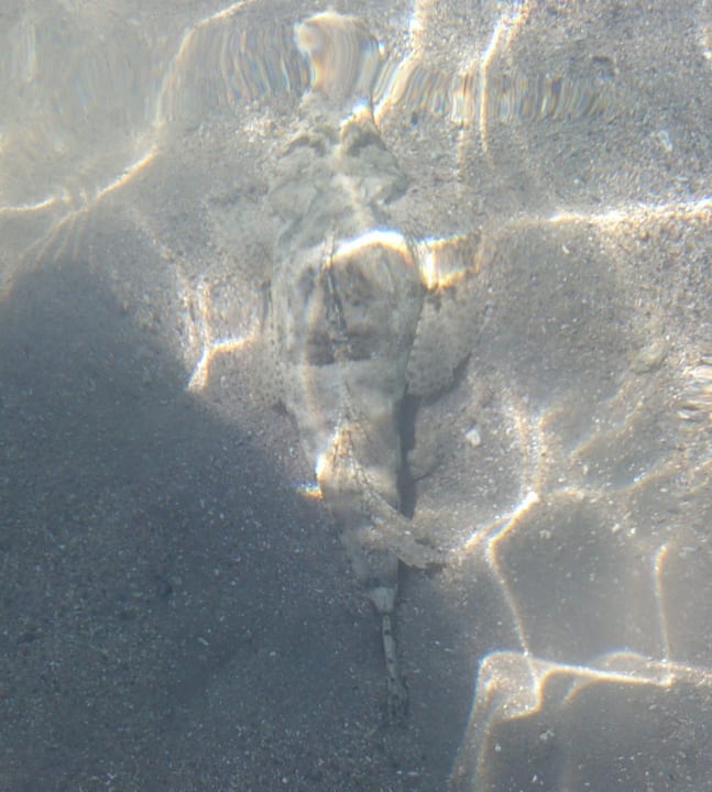 Strand Steigenberger Coraya Beach - Adults only