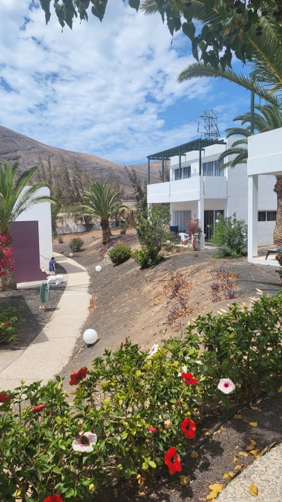 Gartenanlage allsun App.-Hotel Esquinzo Beach