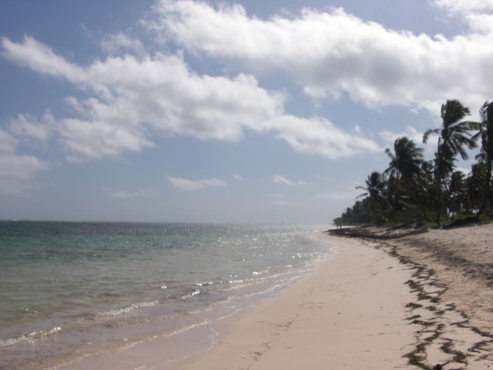 Der allerschönste Strand direkt vor dem Hotel Catalonia Punta Cana - All Inclusive