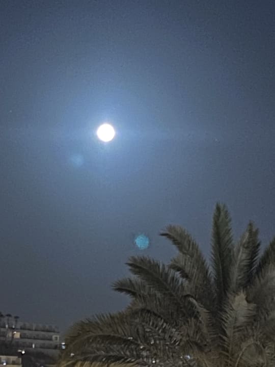 Ausblick Hotel Riu Palace Jandia