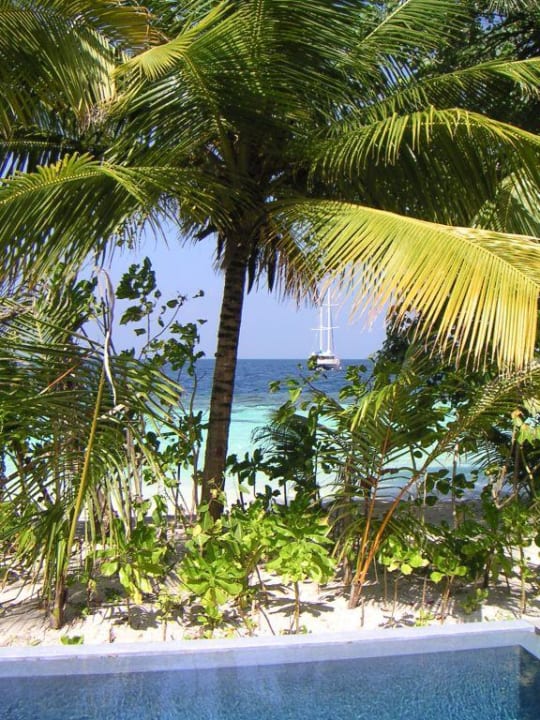 Zimmer mit Aussicht W Maldives