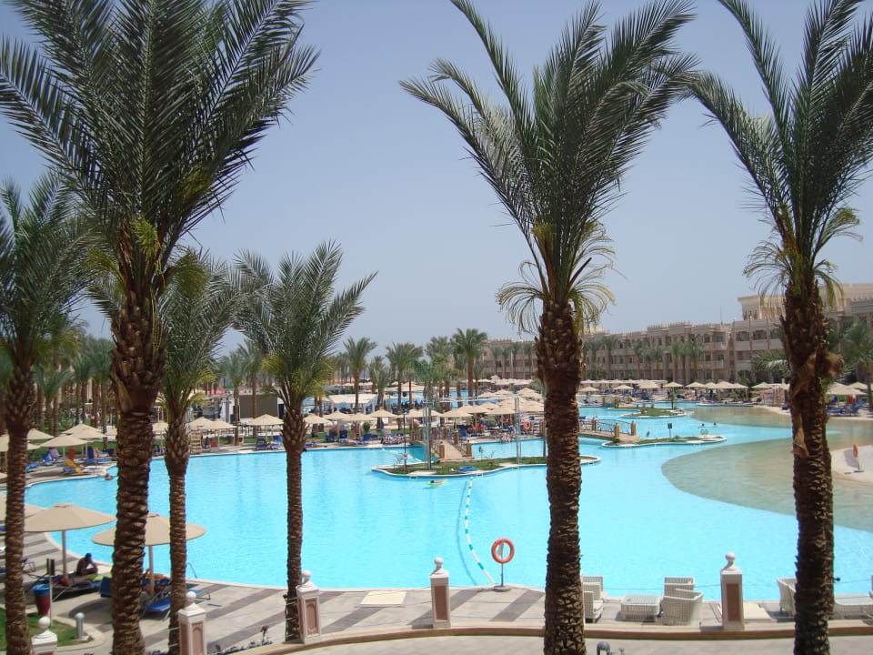 Pool Beach Albatros Resort