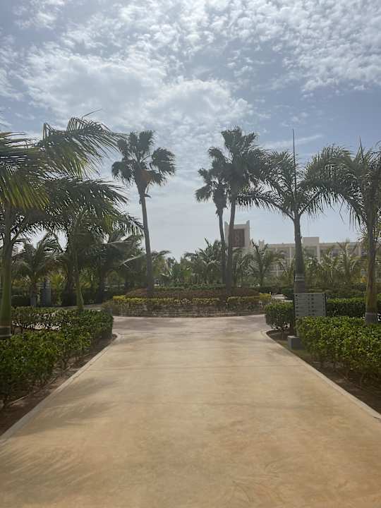 Gartenanlage Hotel Riu Palace Santa Maria