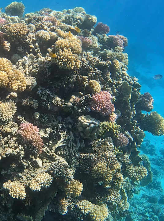 Sport & Freizeit Jaz Makadina