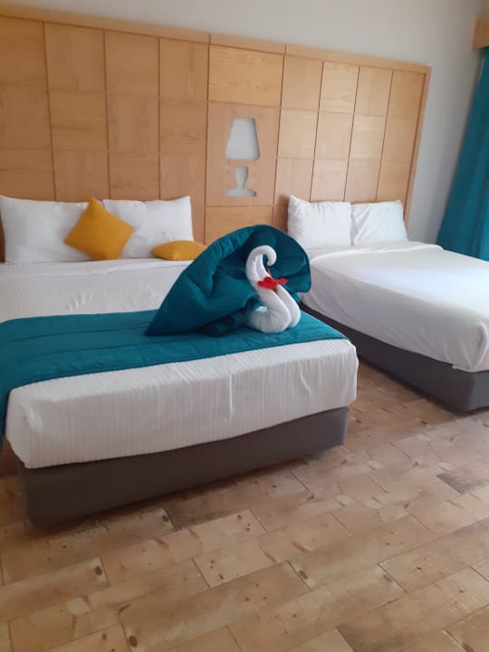 Zimmer Prima Life Makadi Resort