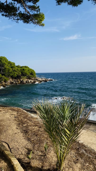 Ausblick Hipotels Eurotel Punta Rotja Golf & Spa