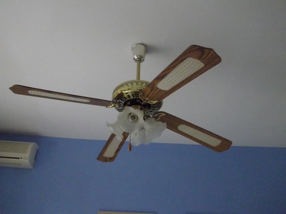 Ventilator Xenios Zeus