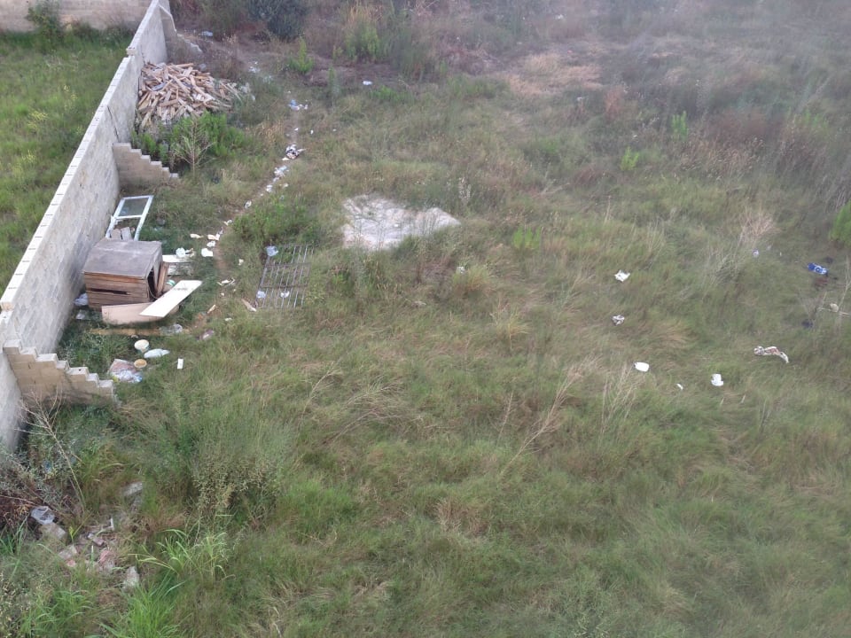 Hundezwingeraussicht Opia Hotel