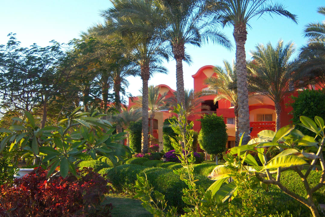 Ogród Sharm Grand Plaza Resort