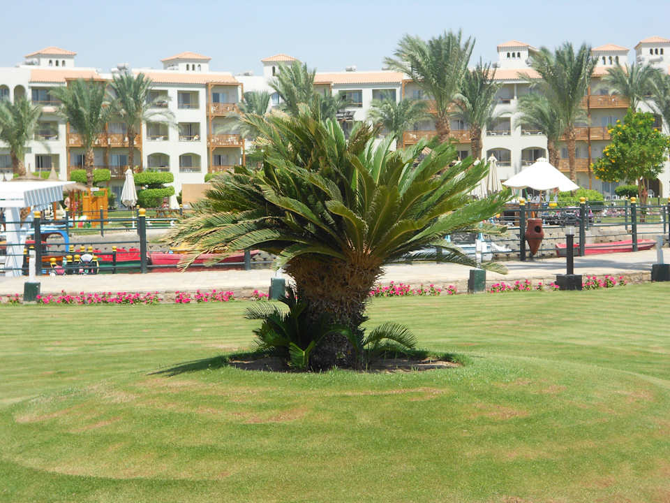 Grüne Anlage Pickalbatros Dana Beach Resort - Hurghada