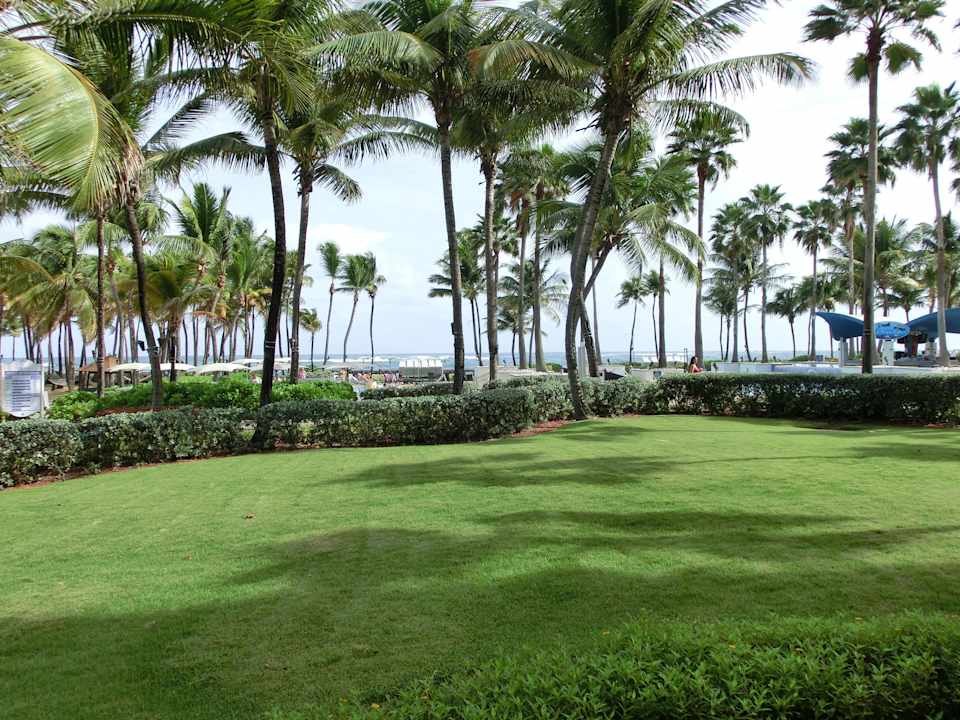 Große wunderschöne Gartenanlage Hotel Caribe Hilton