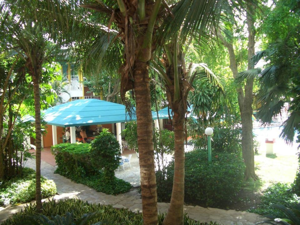 Poolbar whala!boca chica