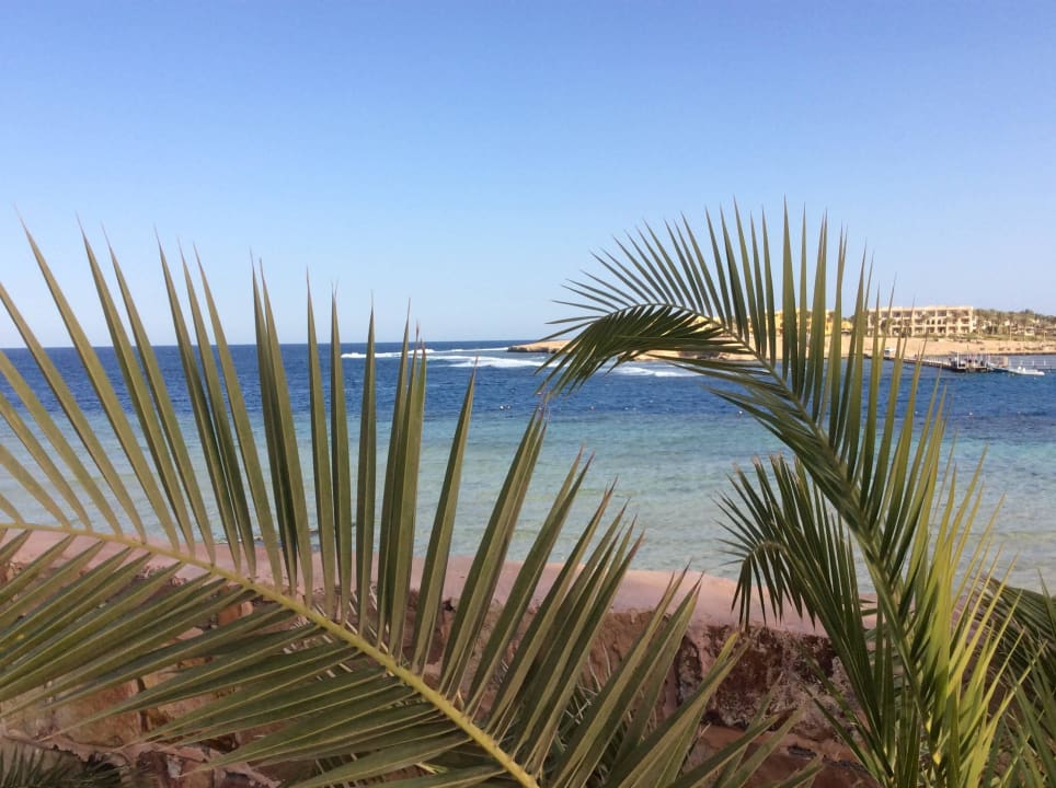 Blick zu gegenüberliegenden Seite  Steigenberger Coraya Beach - Adults only