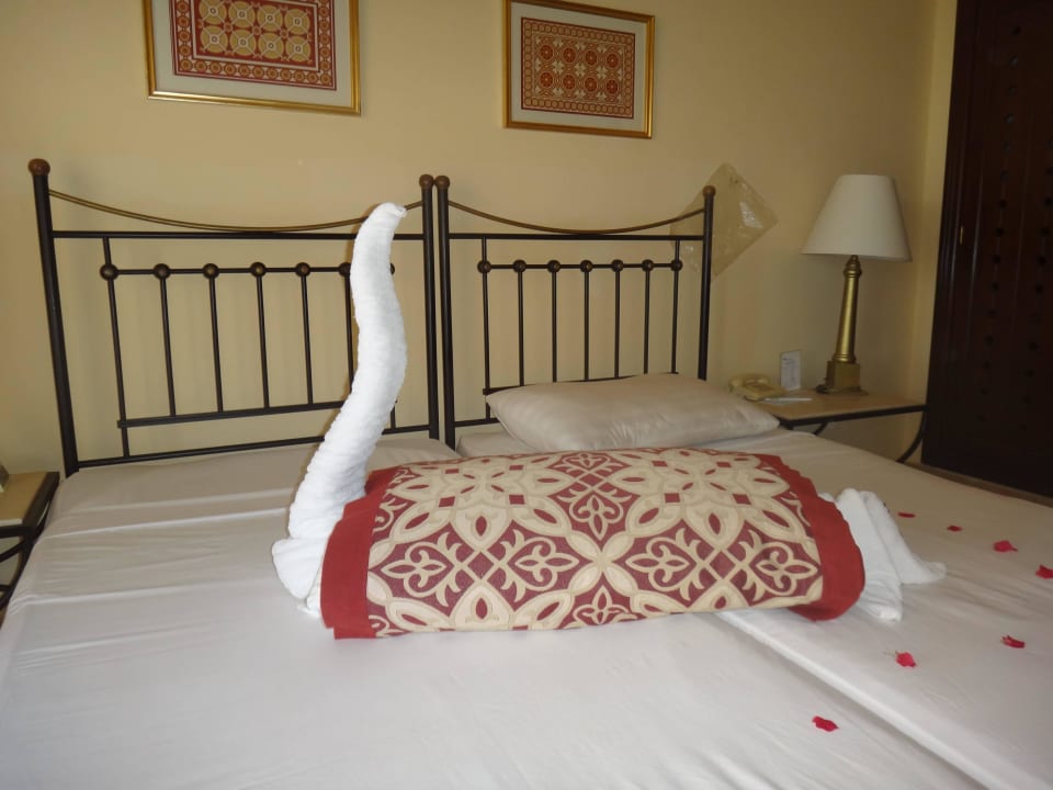  Животное Jaz Makadi Saraya Resort