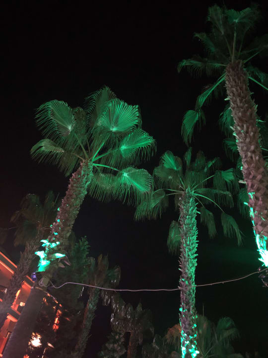 Ausblick Hane Family Resort