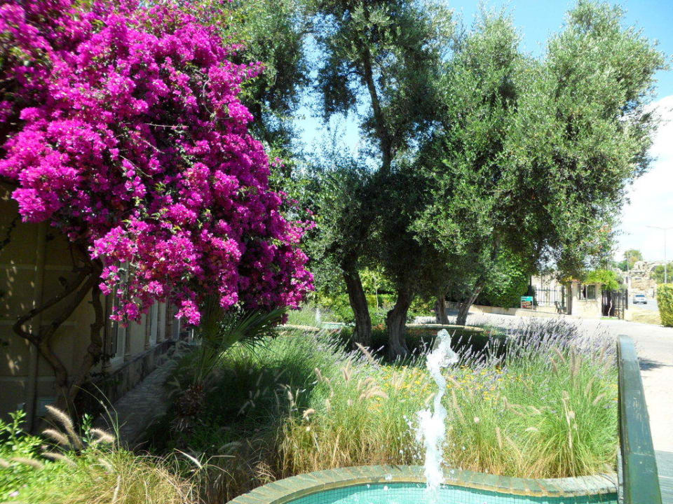 Außenbereich des Hoteleingangs Can Garden Beach