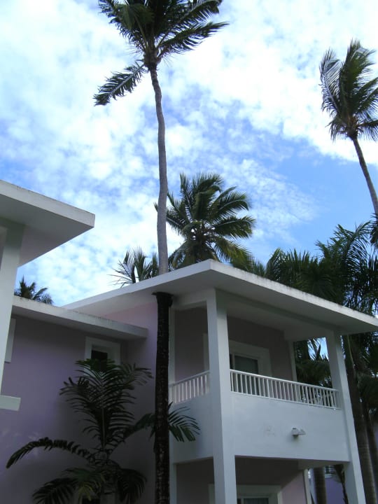 Palmen wachsen durchs Dach Hotel Riu Bambu