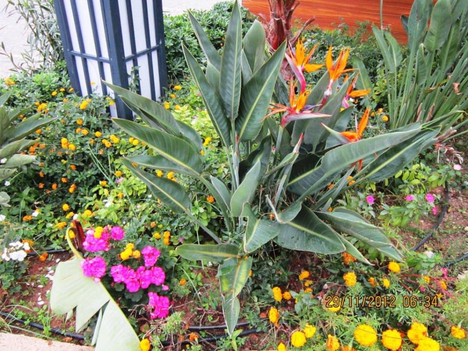 Vor dem Hotel Granada Luxury Okurcalar