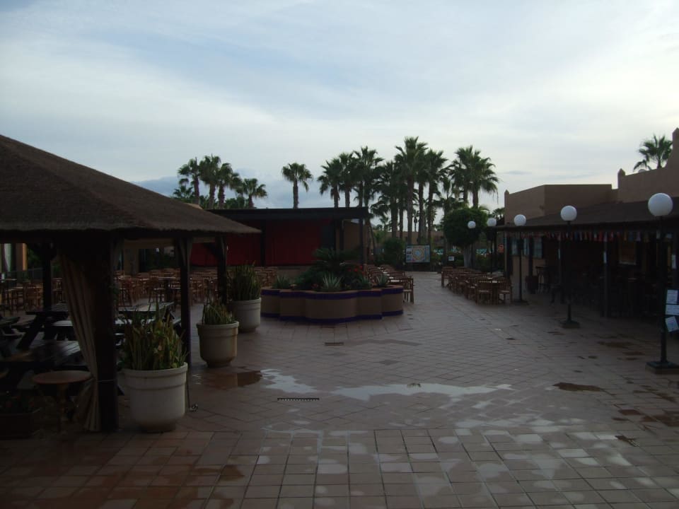 Die Bar und Animations-Bühne Hotel Oasis Dunas