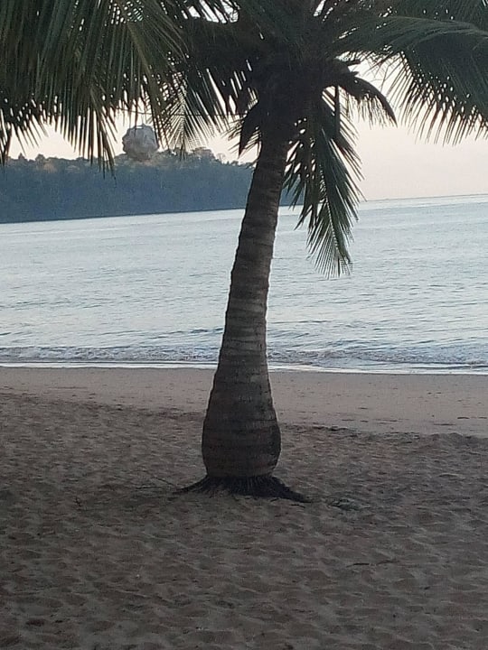 Strand                                             Seaview Khao Lak Resort