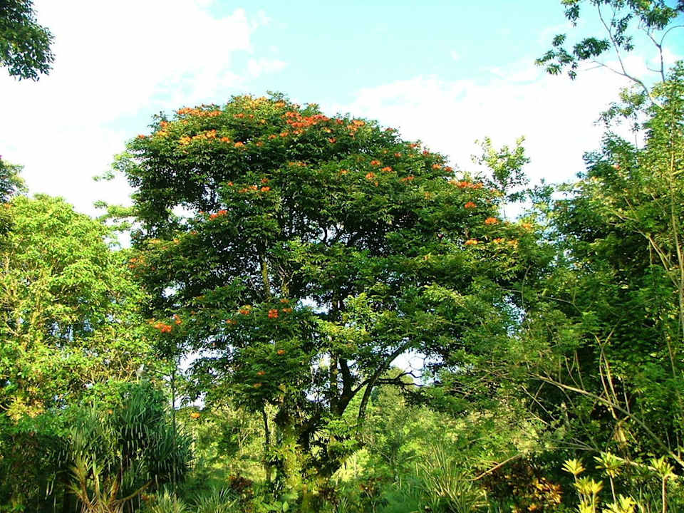 Garten Hotel Los Lagos