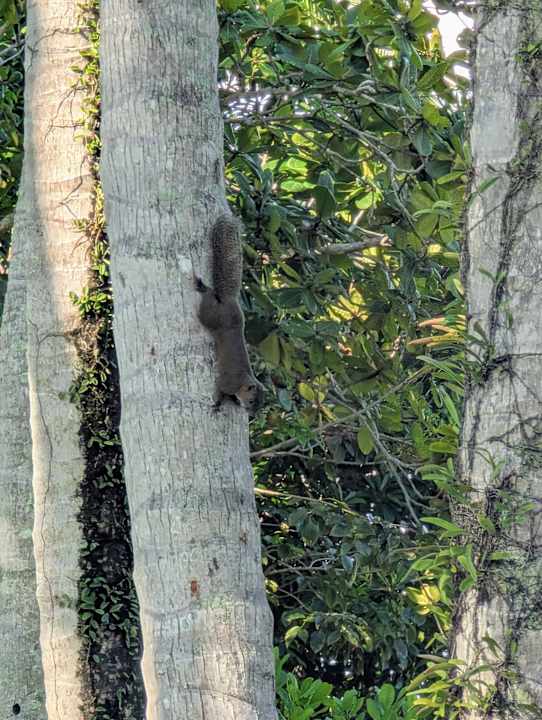 Gartenanlage Dusit Thani Krabi Beach Resort