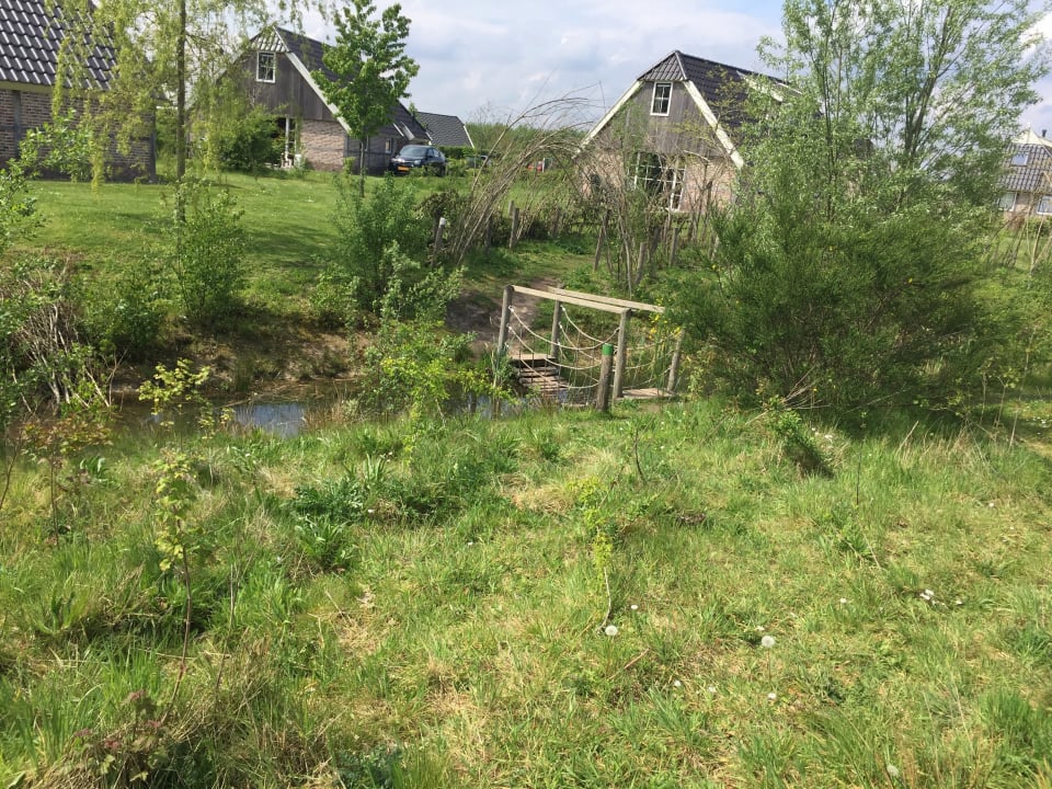 Gartenanlage Ferienpark Landal Orveltermarke