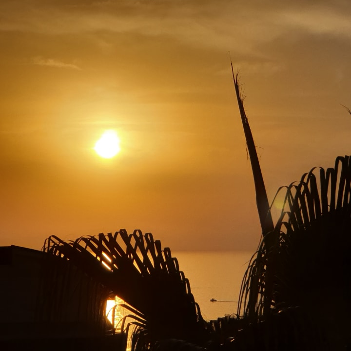 Ausblick Side Alegria Hotel & Spa - Adults only +16