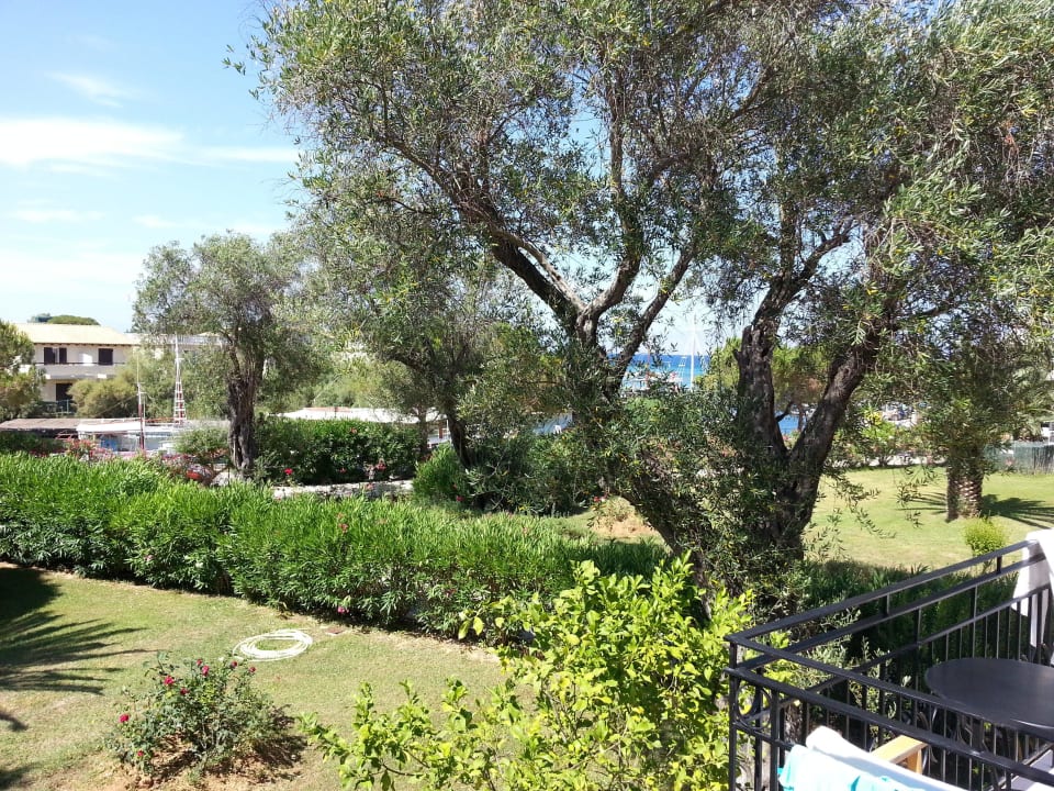 Ausblick von Zimmer Nr. 1254B Sentido Apollo Palace