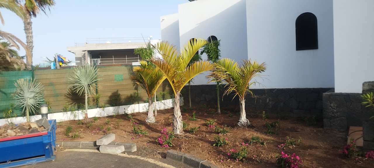 Außenansicht allsun App.-Hotel Albatros