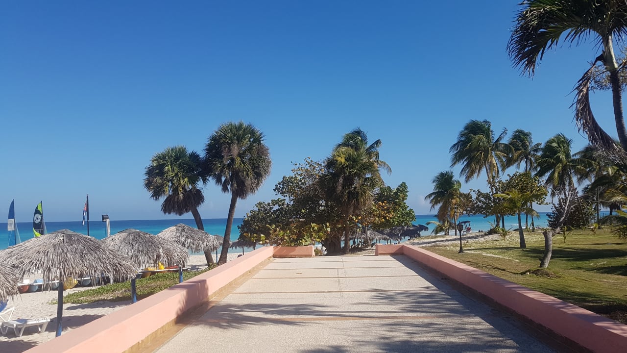 Strand Starfish Cuatro Palmas